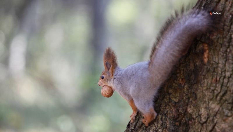      Фото: ИА «Победа26»