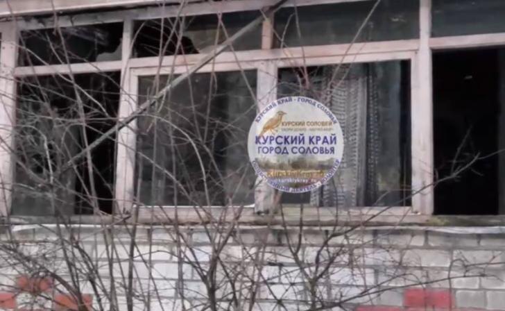    Курский Край - город Соловья