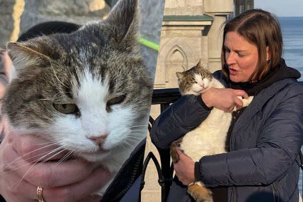 Talagram-канал «Крым 24» 