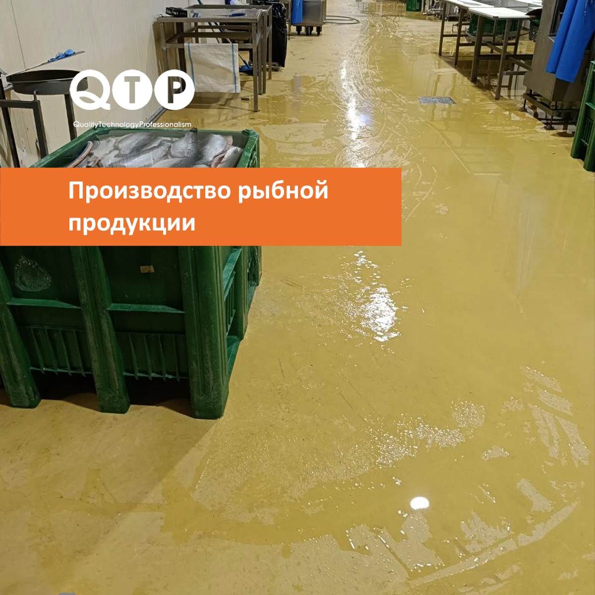 Производство рыбной продукции. Цеха, 2300 кв.м. Полиурементцементноге покрытие QTP 2640
