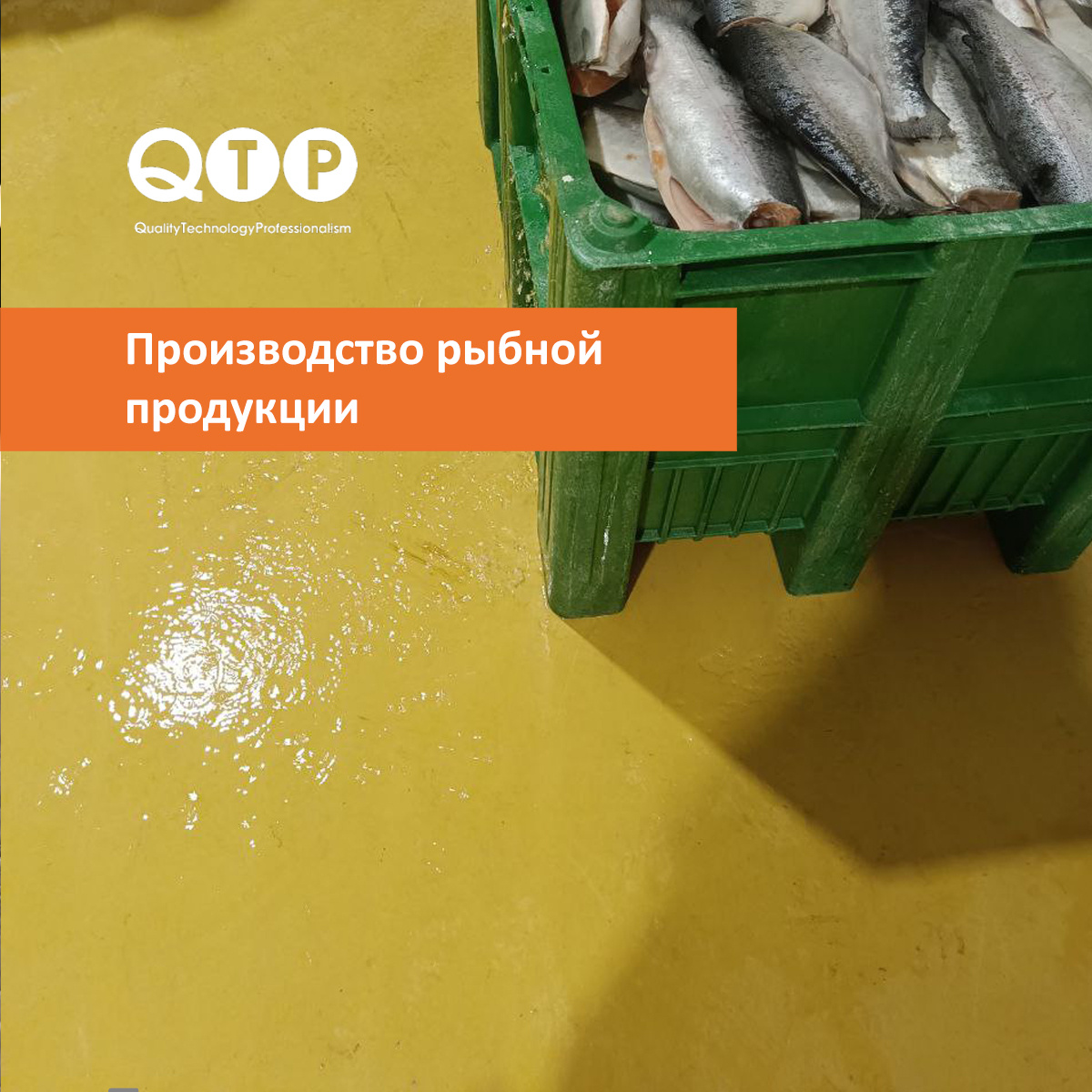 Производство рыбной продукции. Цеха, 2300 кв.м. Полиурементцементноге покрытие QTP 2640