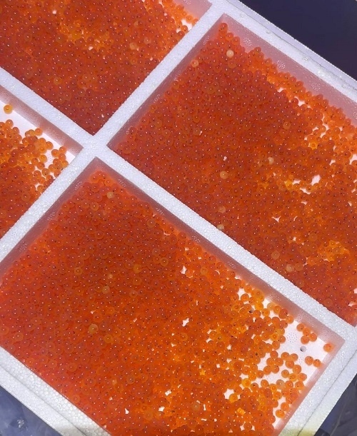 Фото: Управление Россельхознадзора по Орловской и Курской областям