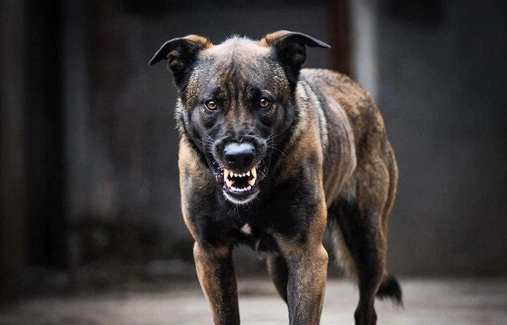    Фото: Нейросеть