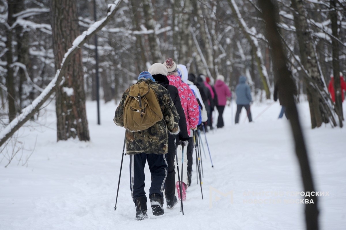 Фотограф: Андрей Любимов