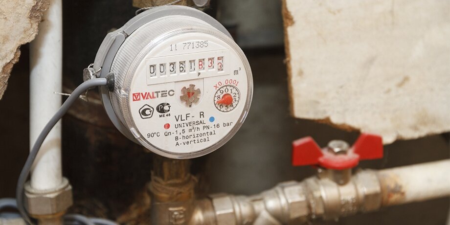    Фото: Москва 24/Роман Балаев