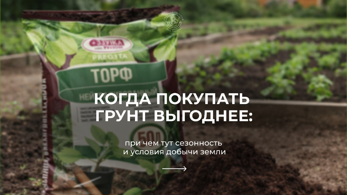 Когда выгодно покупать грунт