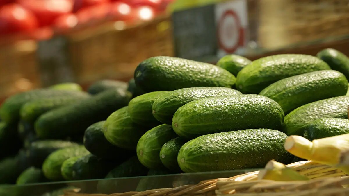    Фото: vm.ru Мила Кузнецова