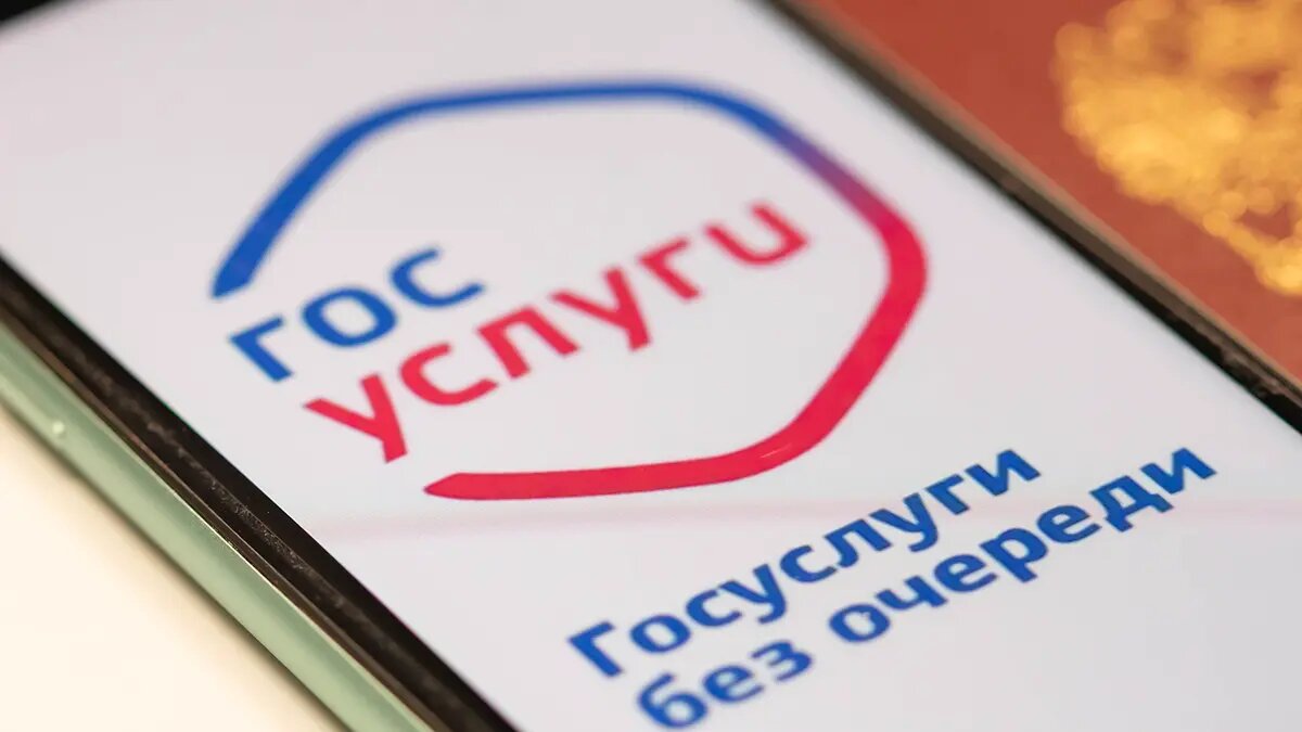    Фото: vm.ru Виктор Фоминцев