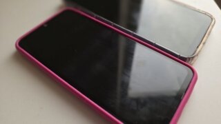    Элина Болдырева Юлия Виноградова