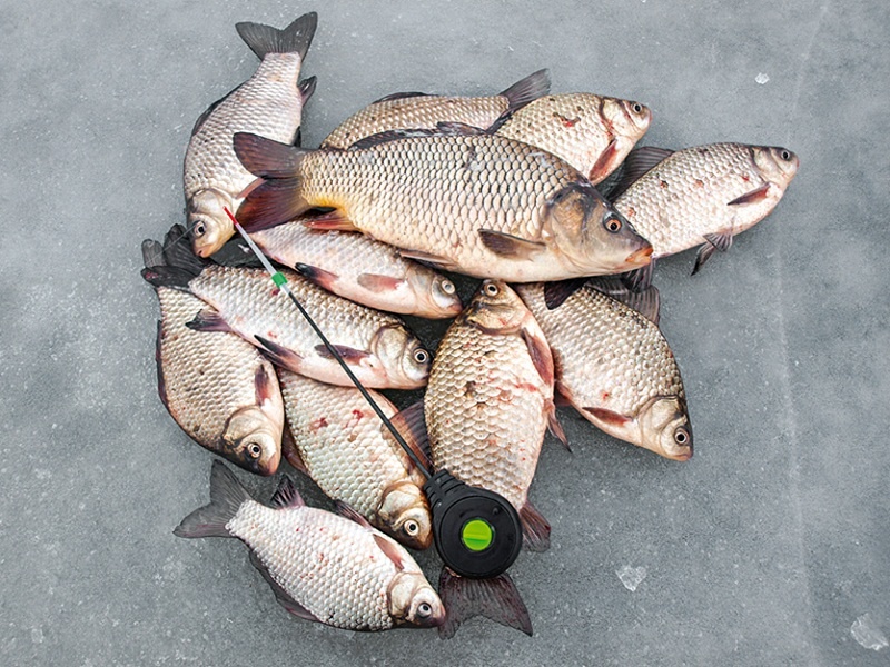 Зимние "лапти"