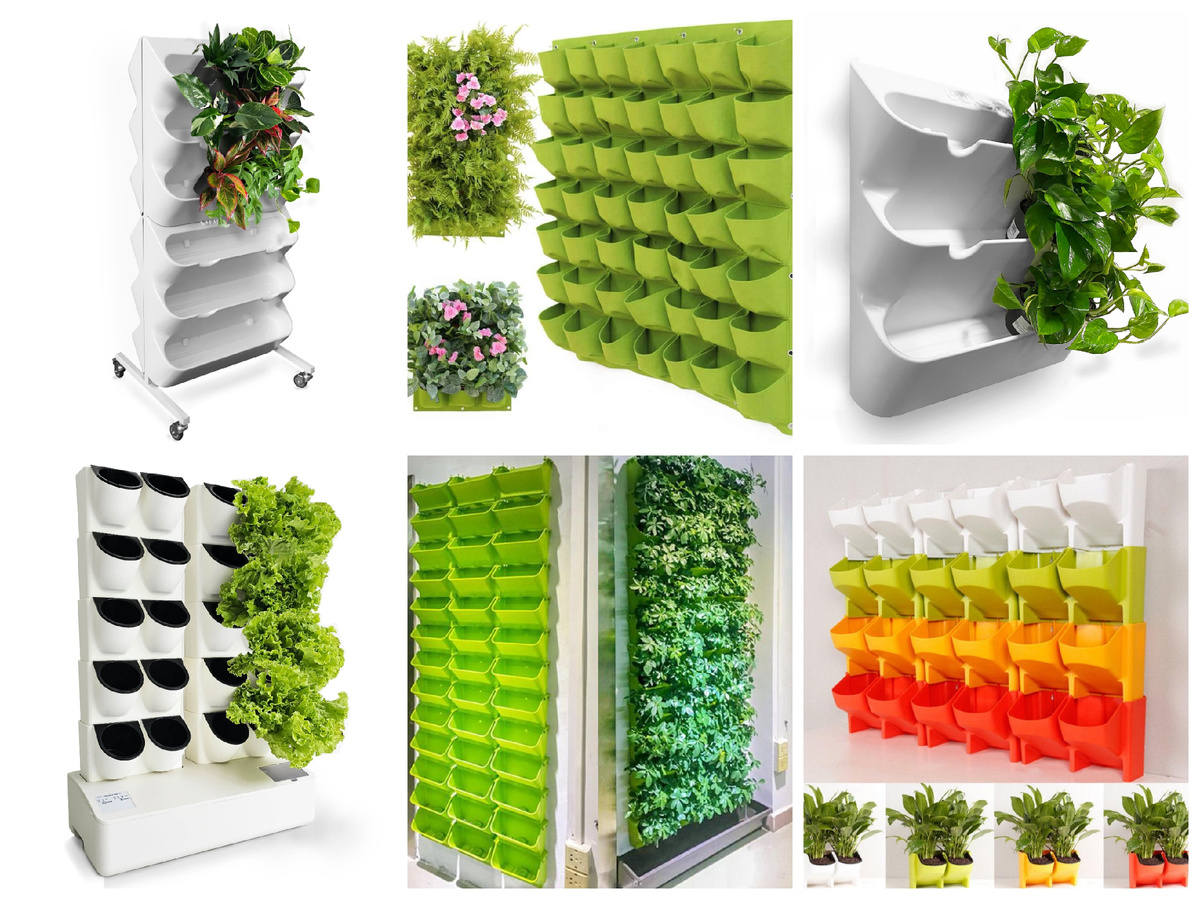 Фитомодуль. Вертикальное озеленение.