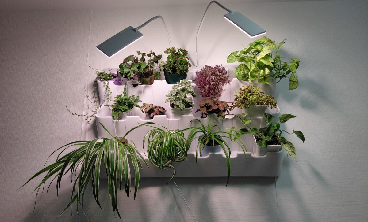 Мой фитомодуль