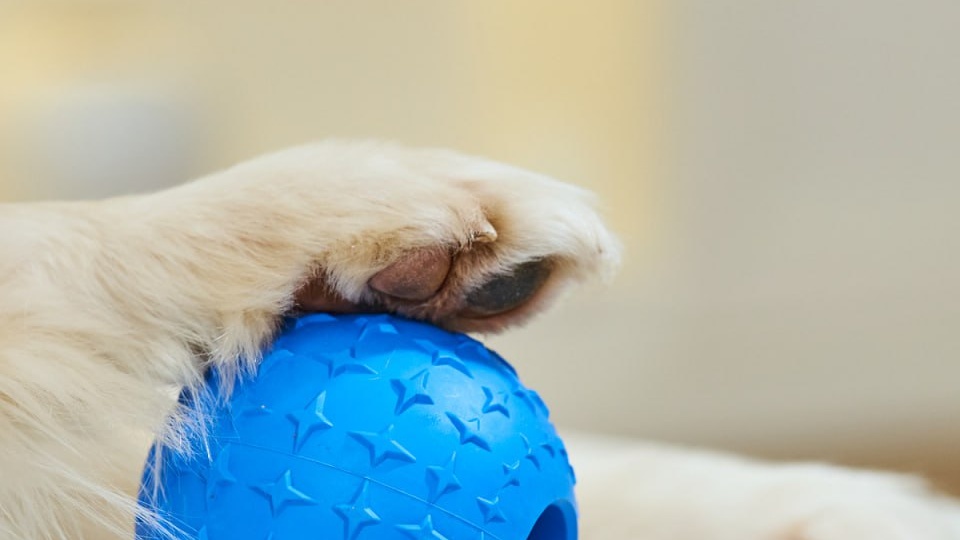 Такие дорогие недорогие игрушки,