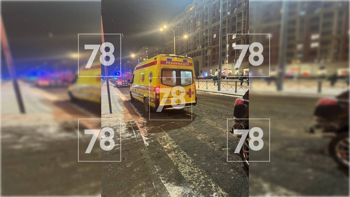    Фото: 78.ru