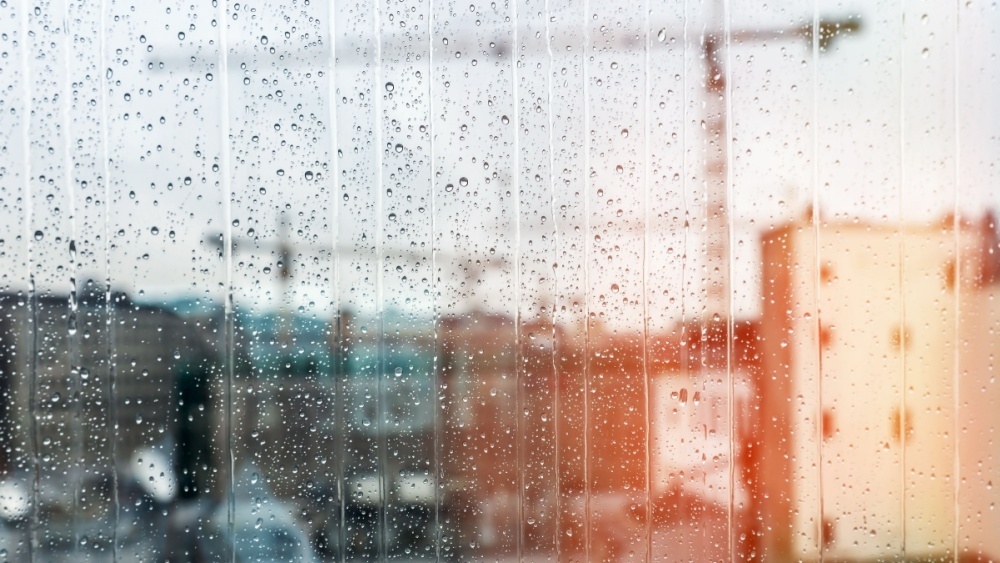     Фото: Maxim Blinkov/Shutterstock/FOTODOM