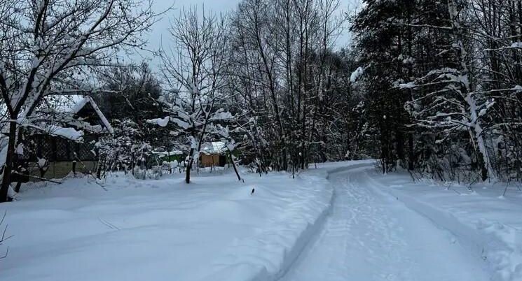    Продажа земли для ЛПХ в г. о. Ступино / Комитет по конкурентной политике Московской области