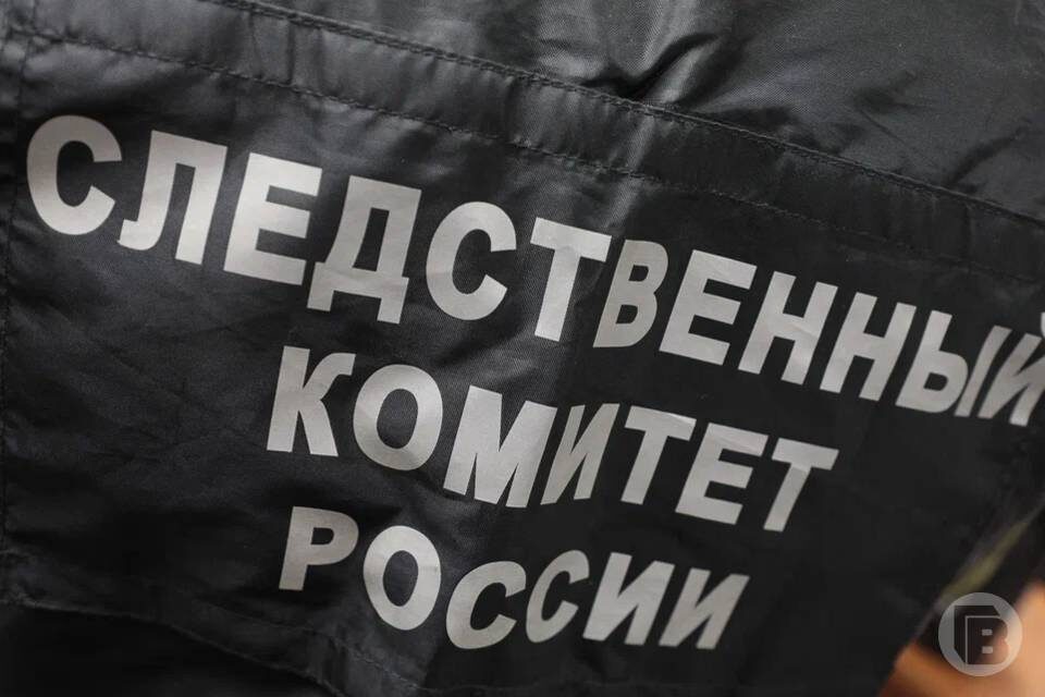    Фото: Дмитрий Рогулин / "Городские вести"