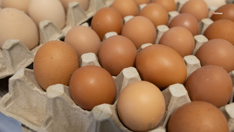      Фото: Валерия Алтухова / / ИА «Победа26»