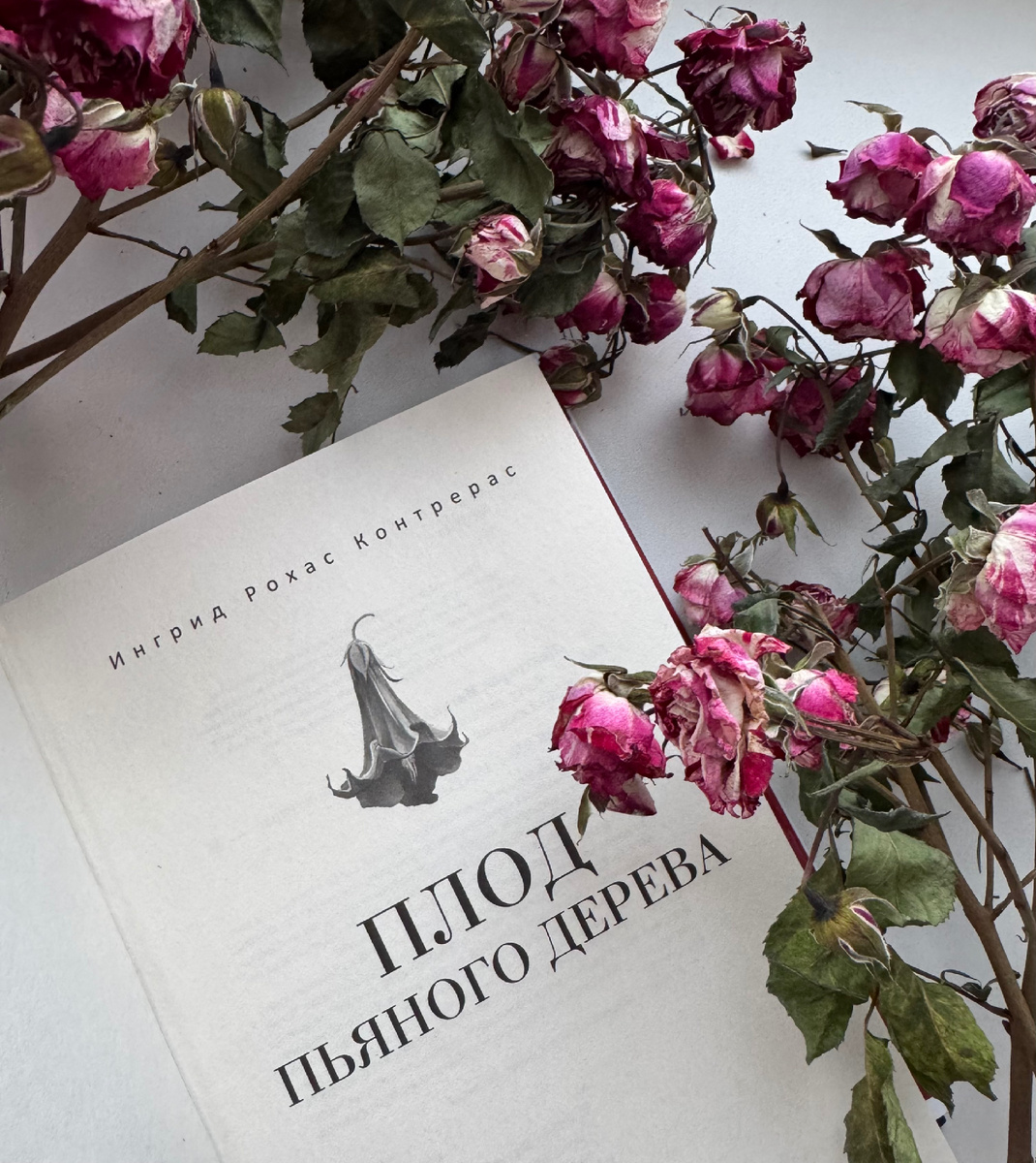 🥀 «Плод пьяного дерева» И.Контрерас