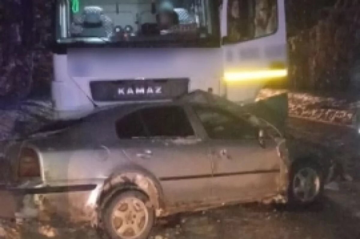    Рухнувшее дерево на трассе под Гусь-Хрустальным привело к гибели водителя