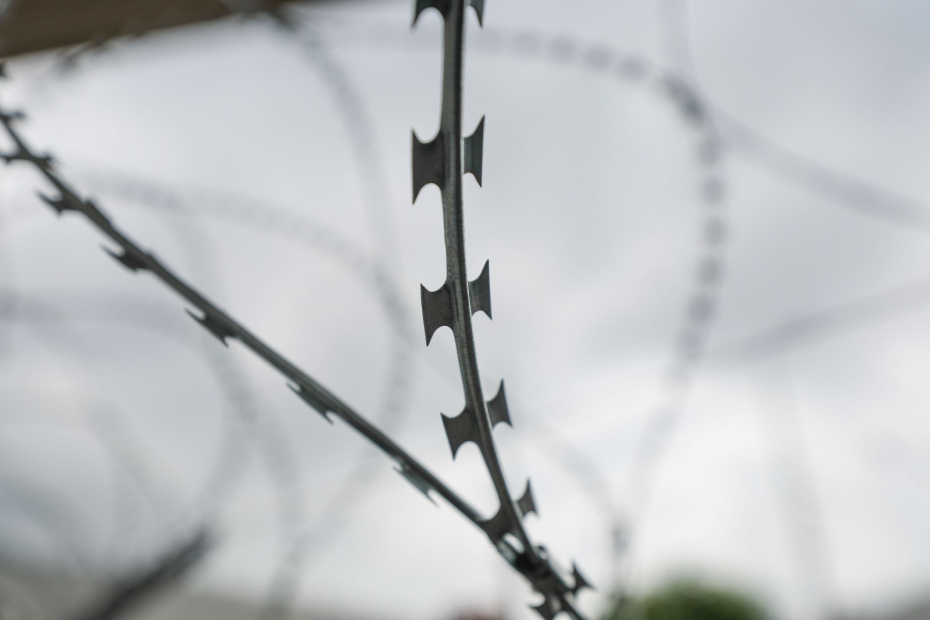    Алексей Белкин/NEWS.ru