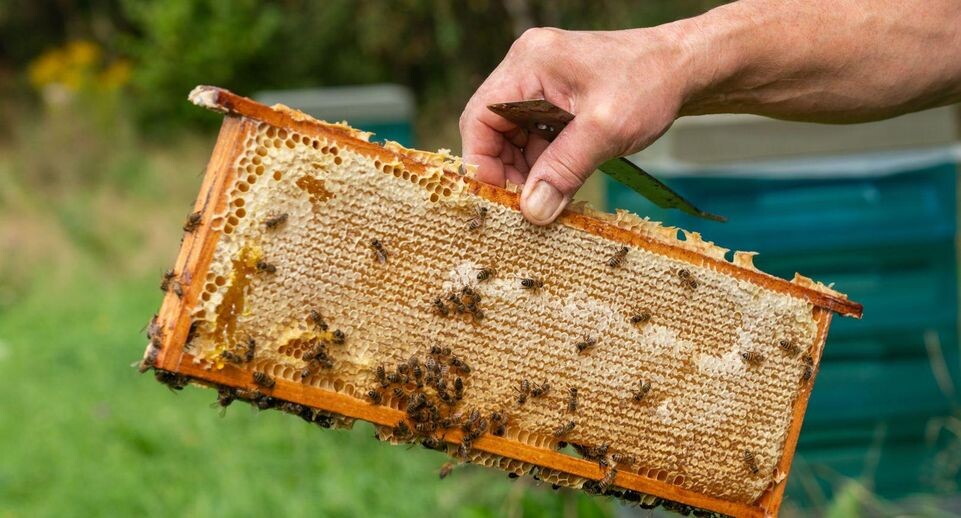    Медиасток.рф