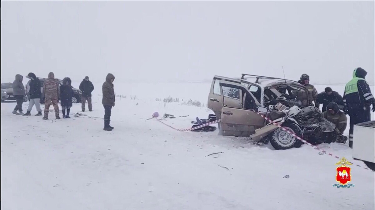   Госавтоинспекция Челябинской области