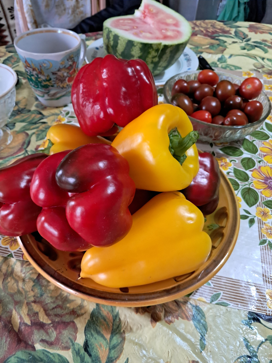 урожай с моего огорода ( Аура)