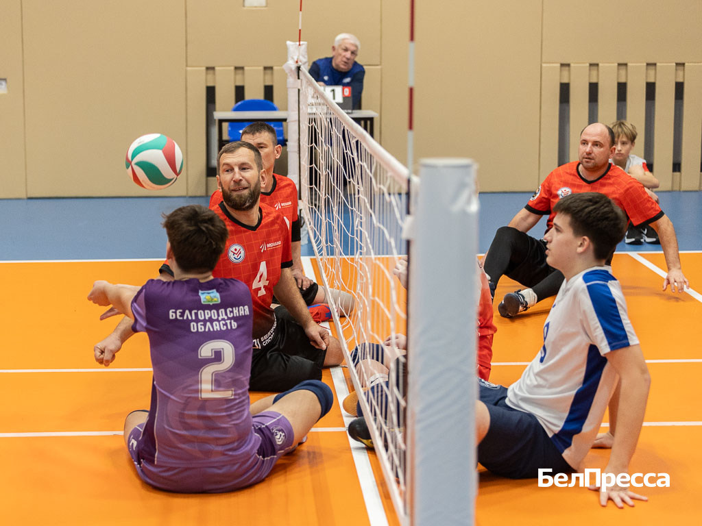     Фото: Алексей Дацковский (архив)