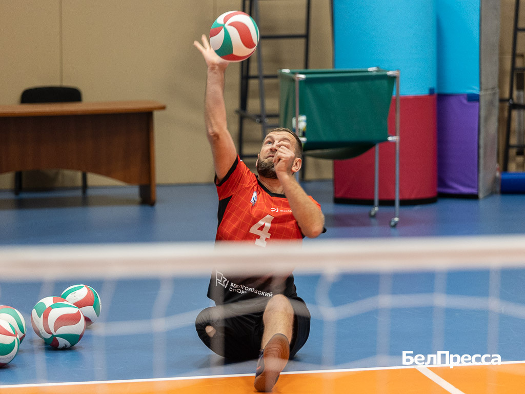    Фото: Алексей Дацковский (архив)