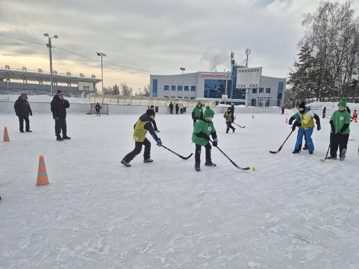    Фото: пресс-служба администрации Пушкинского г.о.
