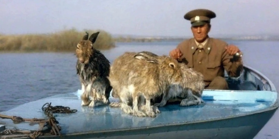 Водный испектор Ришат спас зайчат. А что произошло дальше поразило всех до глубины души