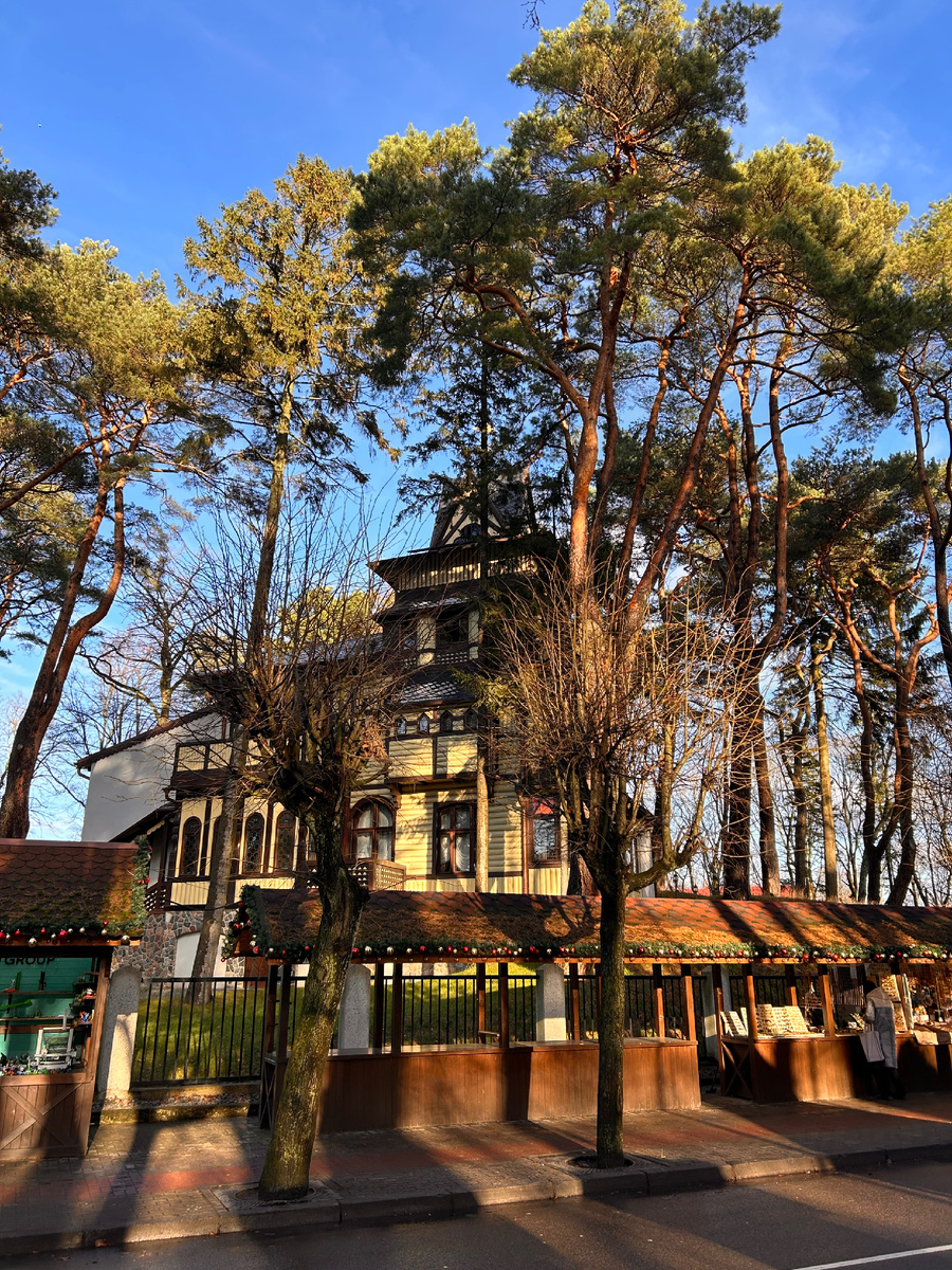 Светлогорск