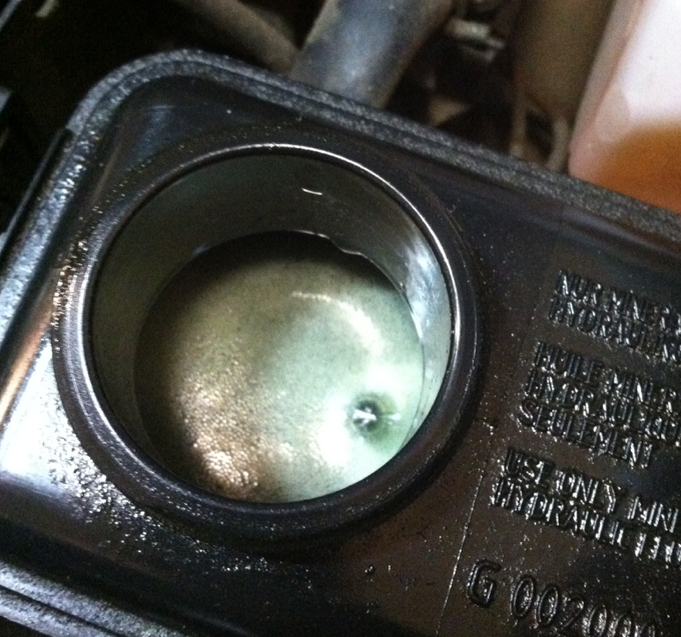 Фото fcpeuro.com