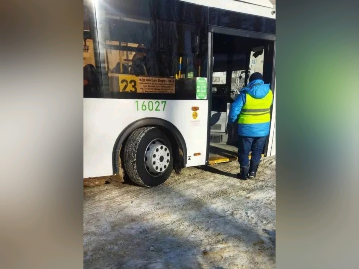     Фото: пресс-служба мэрии Воронежа