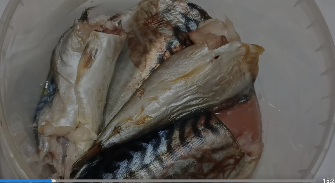 Ржавая скумбрия из нашего магазина из личного архива 