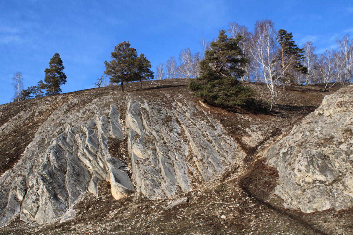     Атайыма уның улы булыуымды дәлилләнем