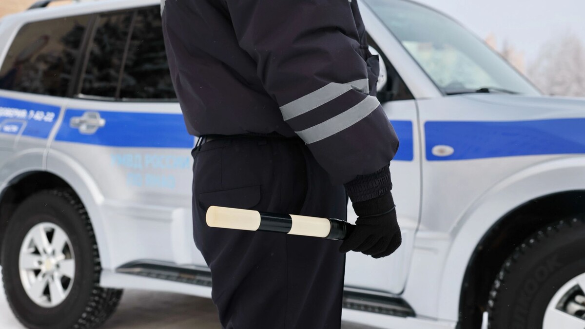    Фото: Андрей Ткачев / «Ямал-Медиа»