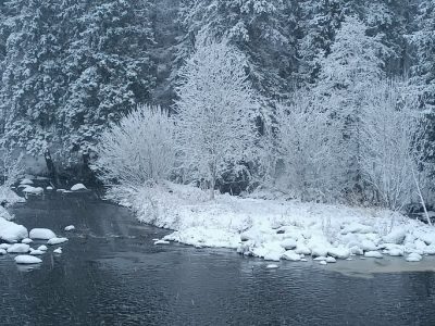    Фото: ГТРК "Карелия"