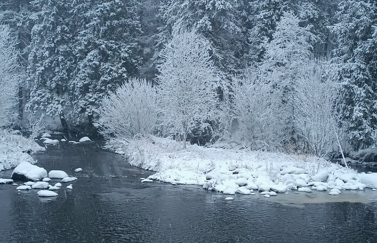    Фото: ГТРК «Карелия»