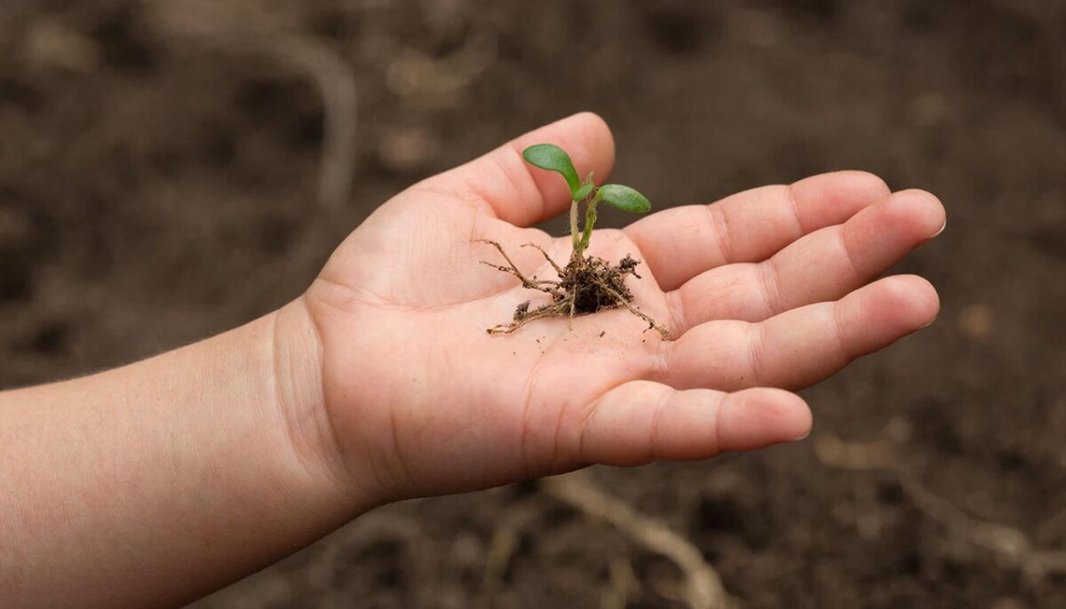     Фото: сгенерировано нейросетью GigaChat