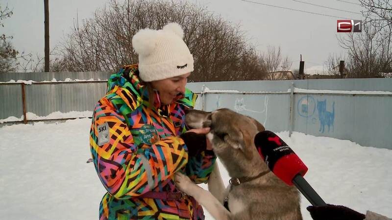    В Тюмени бездомный пес сам нашел дорогу в приют и занял там свободный вольер