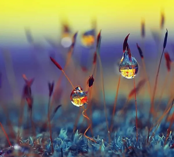 О-это чудо...