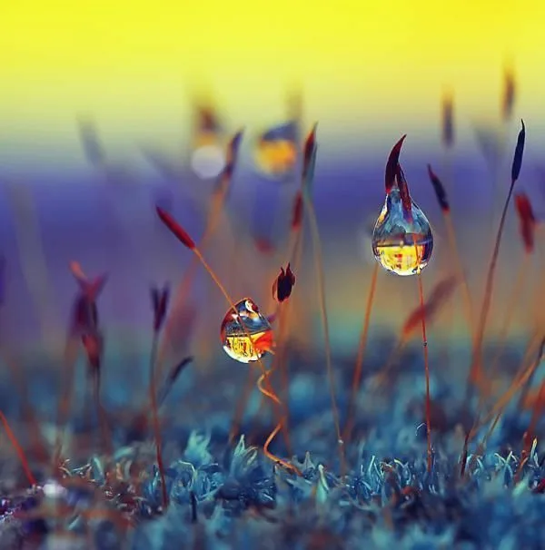 картинка из открытых источноков