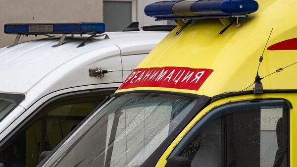    © РИА Новости Крым . Дмитрий Макеев