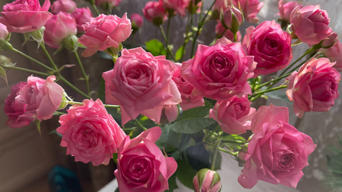 Фото автора канала Расклады на Таро Екатерина KATRIN EMPRESS TAROT