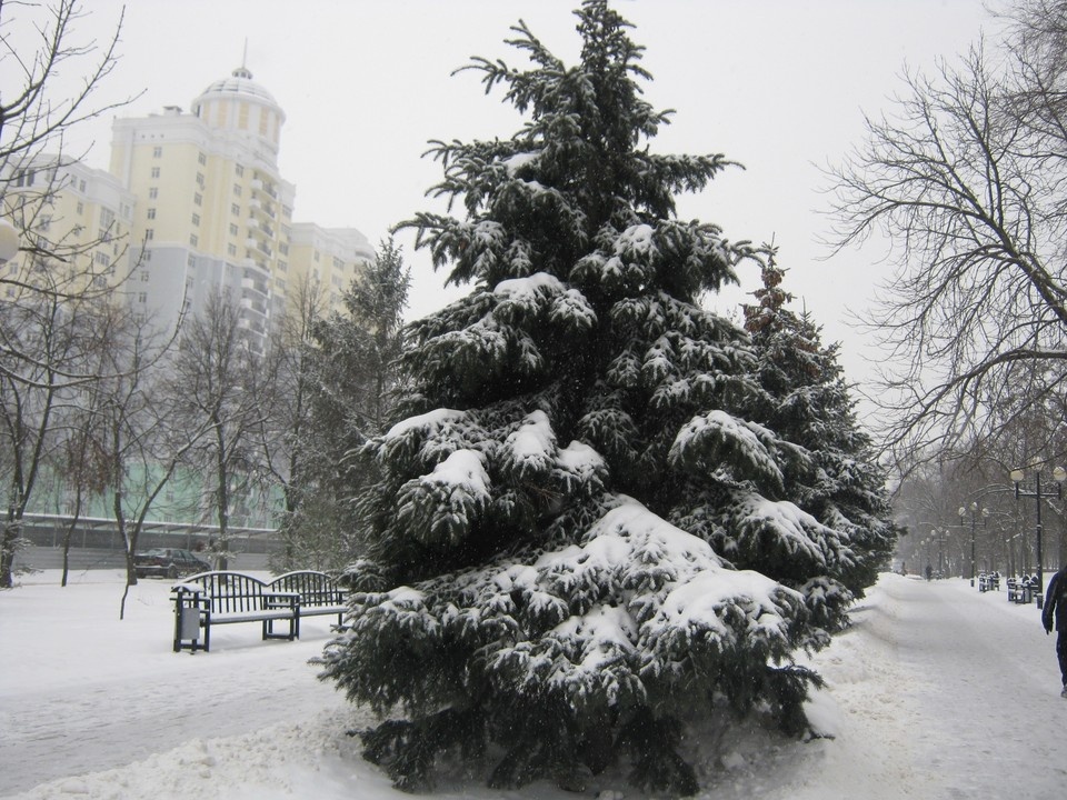    Облачно и без осадков будет в Белгородской области 11 февраля Наталия ИЛЮШНИКОВА