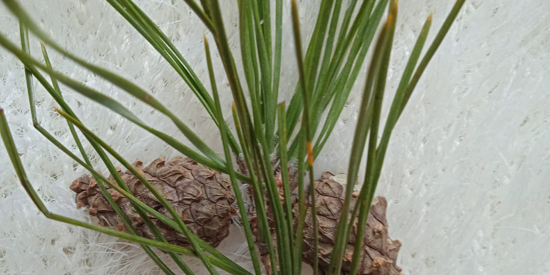 Мой вчерашний день. 10.01.2026 г.