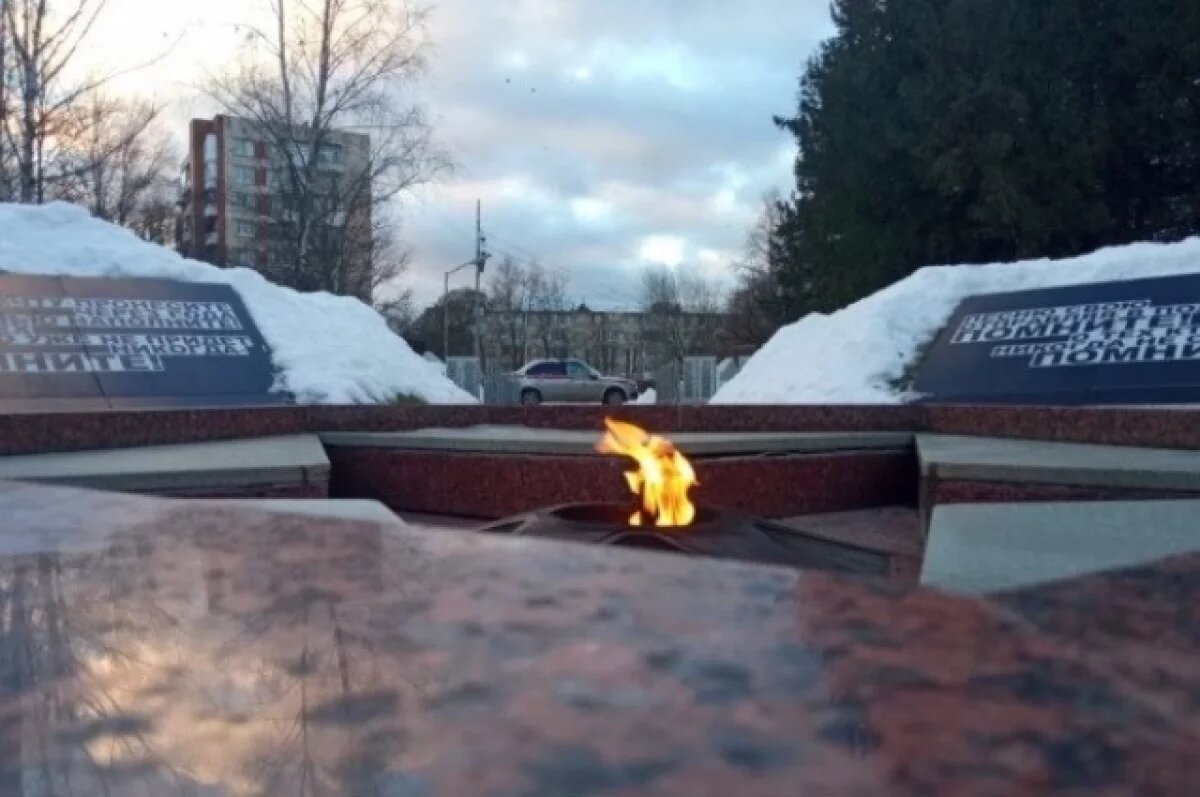    Росгвардия устроила погоню за похитительницей цветов с мемориала в Киришах