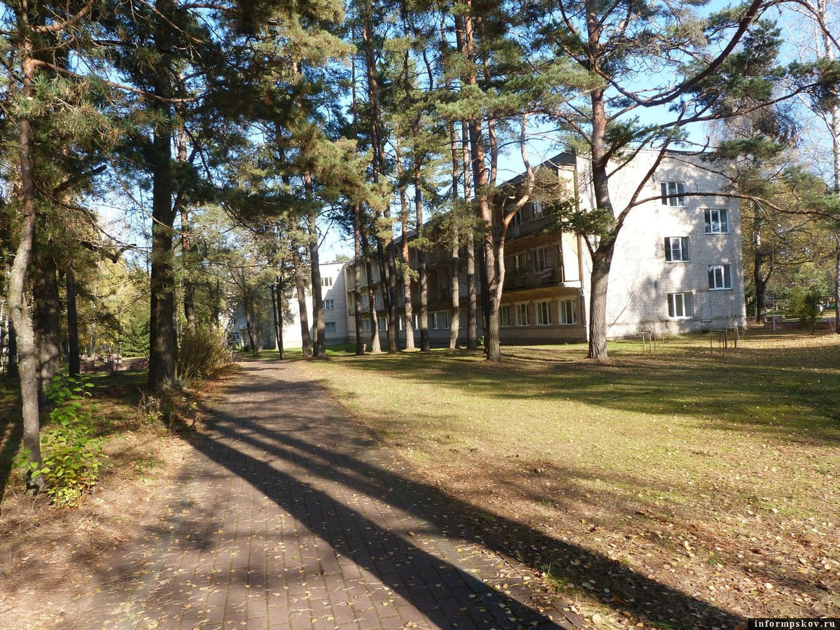 Фото: пресс-служба Псковского облсовпрофа